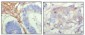 FBLN5 Antibody